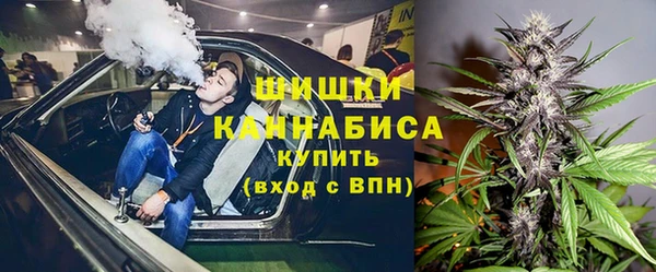 амф Богородск