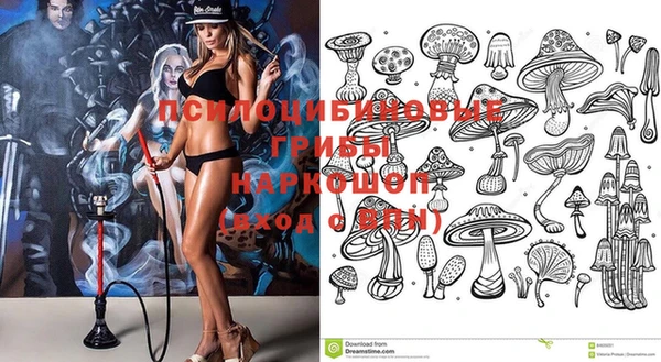 mdma Богданович