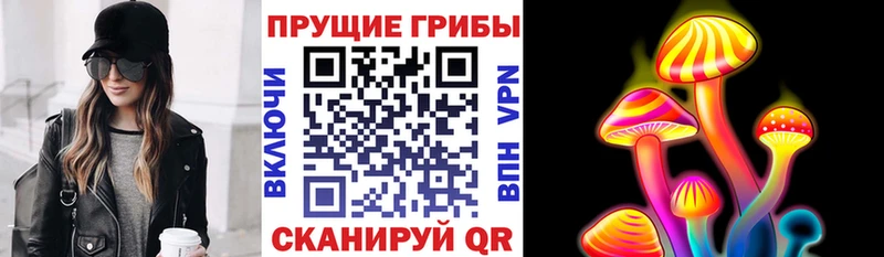 закладка  Самара  Галлюциногенные грибы Cubensis 